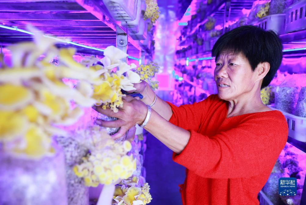 捕鱼达人之海底捞3安卓版下载